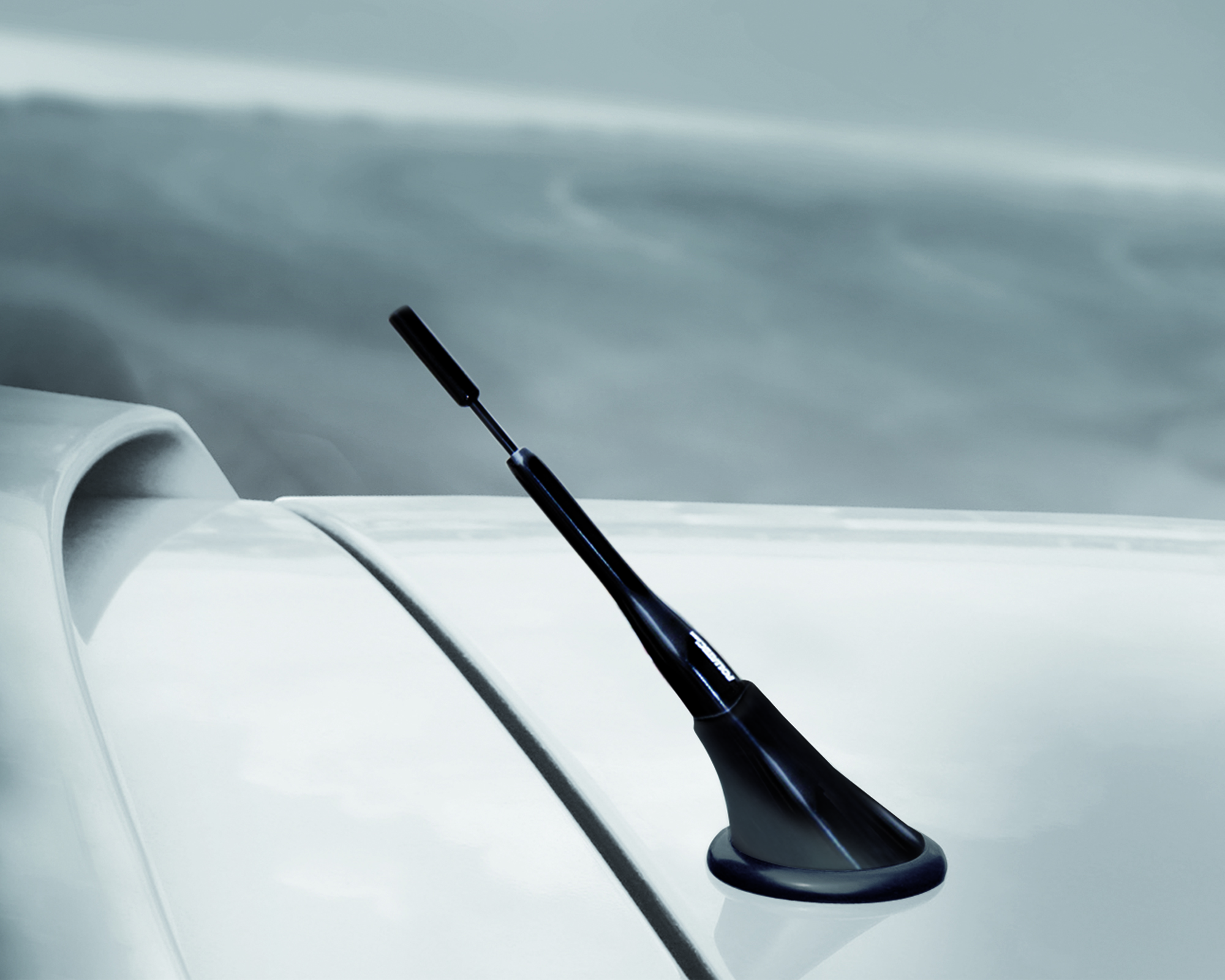 Foliatec FACT Design Antenne Typ 1.4